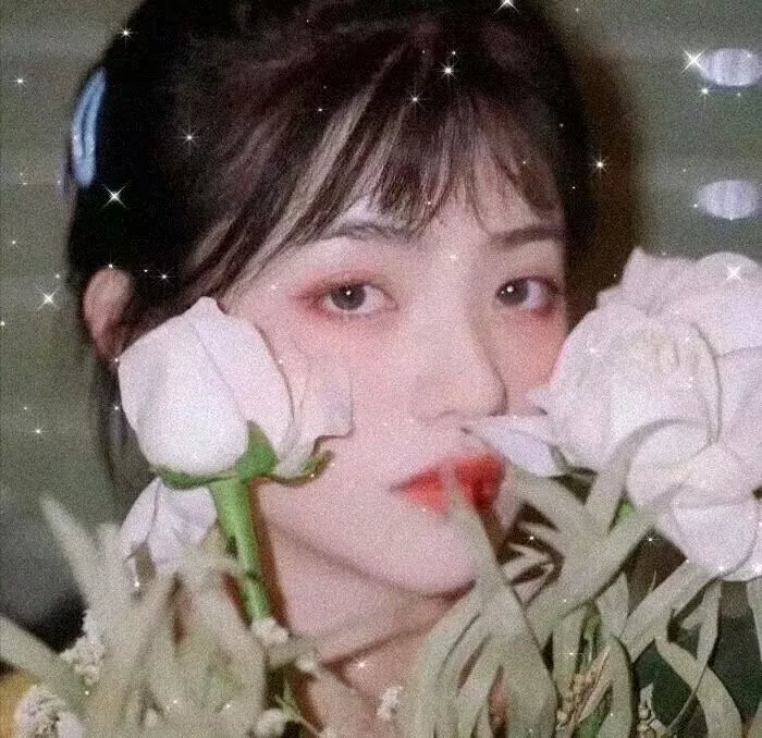 青春浪花